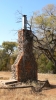 PICTURES/V-Bar-V Heritage Site/t_Chimney1.JPG